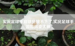 实况足球手游球员放不下了,实况足球手游如何变大神