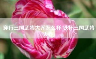 穿行三国武将大乔怎么样(铁杆三国武将大乔)