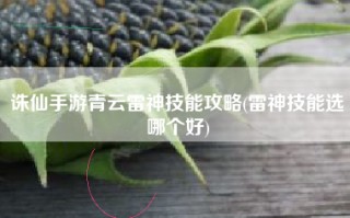 诛仙手游青云雷神技能攻略(雷神技能选哪个好)