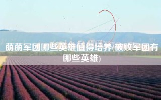 萌萌军团哪些英雄值得培养(破败军团有哪些英雄)