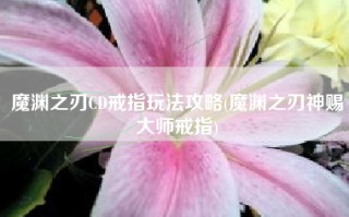 魔渊之刃CD戒指玩法攻略(魔渊之刃神赐大师戒指)