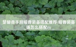 楚留香手游暗香装备搭配推荐(暗香装备该怎么搭配())