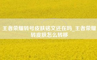 王者荣耀转号皮肤铭文还在吗_王者荣耀转皮肤怎么转移