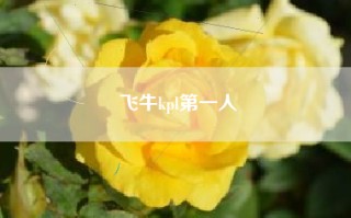 飞牛kpl第一人