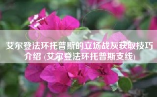 艾尔登法环托普斯的立场战灰获取技巧介绍 (艾尔登法环托普斯支线)