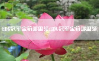 EDG冠军宝箱哪里领(EDG冠军宝箱哪里领)