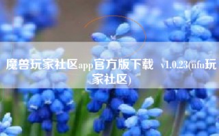 魔兽玩家社区app官方版下载  v1.0.23(nfu玩家社区)