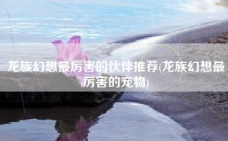 龙族幻想最厉害的伙伴推荐(龙族幻想最厉害的宠物)