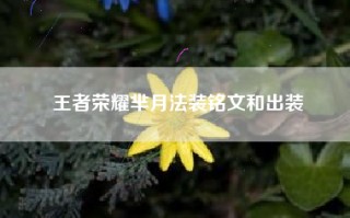 王者荣耀芈月法装铭文和出装