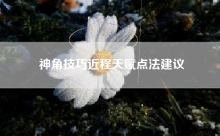 神角技巧近程天赋点法建议