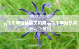 qq飞车手游抽奖凤囚凰,qq飞车手游是否在走下坡路