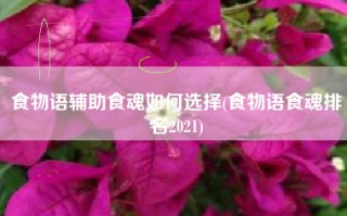 食物语辅助食魂如何选择(食物语食魂排名2021)