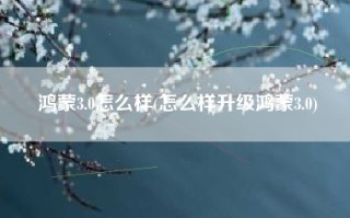 鸿蒙3.0怎么样(怎么样升级鸿蒙3.0)