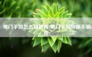 蜀门手游怎么赚银两(蜀门手游绑银不够用)
