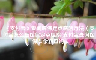 《支付宝》查询医保定点医院方法（支付宝怎么查医保定点医院(支付宝查询医保卡余额查询)