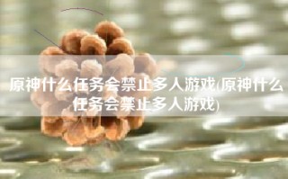 原神什么任务会禁止多人游戏(原神什么任务会禁止多人游戏)