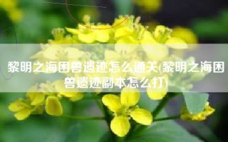 黎明之海困兽遗迹怎么通关(黎明之海困兽遗迹副本怎么打)