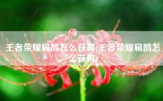 王者荣耀扁鹊怎么获得(王者荣耀扁鹊怎么获得)