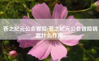 苍之纪元公会冒险(苍之纪元公会冒险钥匙什么作用)