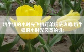 奶牛镇的小时光飞机订单玩法攻略(奶牛镇的小时光风筝给谁)