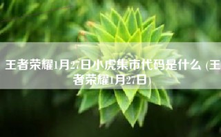 王者荣耀1月27日小虎集市代码是什么 (王者荣耀1月27日)