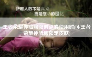 王者荣耀体验服限时点券使用时间(王者荣耀体验服限定皮肤)