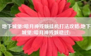 地下城堡2暗月神残骸挂机打法攻略(地下城堡2暗月神残骸稳过)