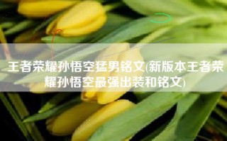 王者荣耀孙悟空猛男铭文(新版本王者荣耀孙悟空最强出装和铭文)