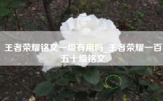 王者荣耀铭文一级有用吗_王者荣耀一百五十级铭文