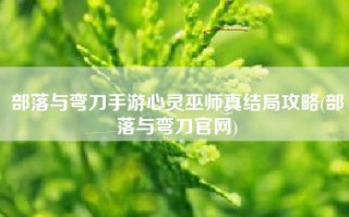 部落与弯刀手游心灵巫师真结局攻略(部落与弯刀官网)