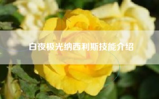白夜极光纳西利斯技能介绍