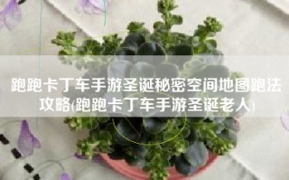 跑跑卡丁车手游圣诞秘密空间地图跑法攻略(跑跑卡丁车手游圣诞老人)