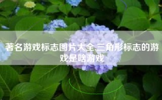 著名游戏标志图片大全,三角形标志的游戏是啥游戏