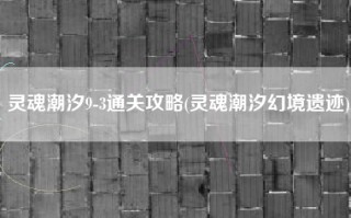 灵魂潮汐9-3通关攻略(灵魂潮汐幻境遗迹)