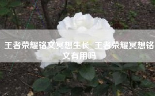 王者荣耀铭文冥想生长_王者荣耀冥想铭文有用吗