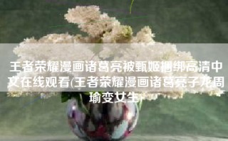 王者荣耀漫画诸葛亮被甄姬捆绑高清中文在线观看(王者荣耀漫画诸葛亮子龙周瑜变女生)