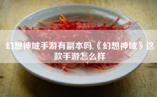 幻想神域手游有副本吗,《幻想神域》这款手游怎么样