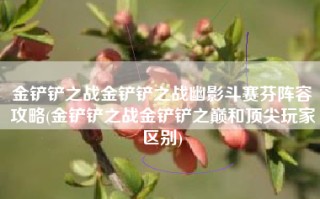 金铲铲之战金铲铲之战幽影斗赛芬阵容攻略(金铲铲之战金铲铲之巅和顶尖玩家区别)