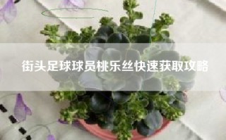 街头足球球员桃乐丝快速获取攻略