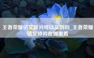 王者荣耀铭文碎片可以买到吗_王者荣耀铭文碎片在哪里看