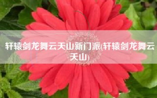 轩辕剑龙舞云天山新门派(轩辕剑龙舞云天山)
