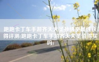 跑跑卡丁车手游齐天大圣孙悟空属性获得评测(跑跑卡丁车手游齐天大圣值得买吗)