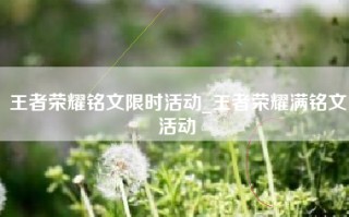 王者荣耀铭文限时活动_王者荣耀满铭文活动