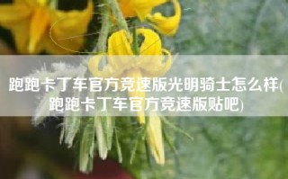 跑跑卡丁车官方竞速版光明骑士怎么样(跑跑卡丁车官方竞速版贴吧)