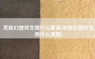 龙族幻想双生用什么套装(龙族幻想双生用什么宠物)