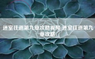 迷室往逝第九章攻略视频(迷室往逝第九章攻略)