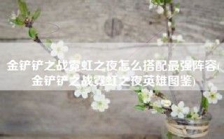 金铲铲之战霓虹之夜怎么搭配最强阵容(金铲铲之战霓虹之夜英雄图鉴)