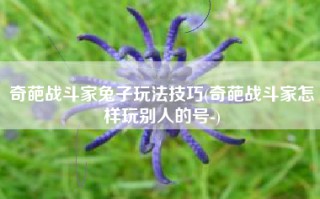 奇葩战斗家兔子玩法技巧(奇葩战斗家怎样玩别人的号-)