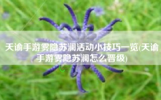 天谕手游雾隐苏澜活动小技巧一览(天谕手游雾隐苏澜怎么晋级)