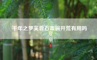 千年之梦芙蓉石盖碗开荒有用吗
